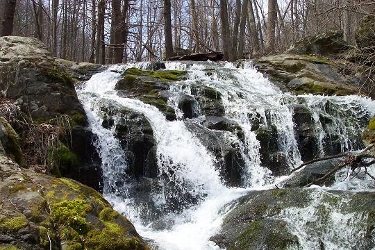 100_1526-r.jpg